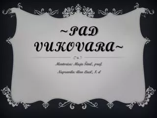 pad vukovara