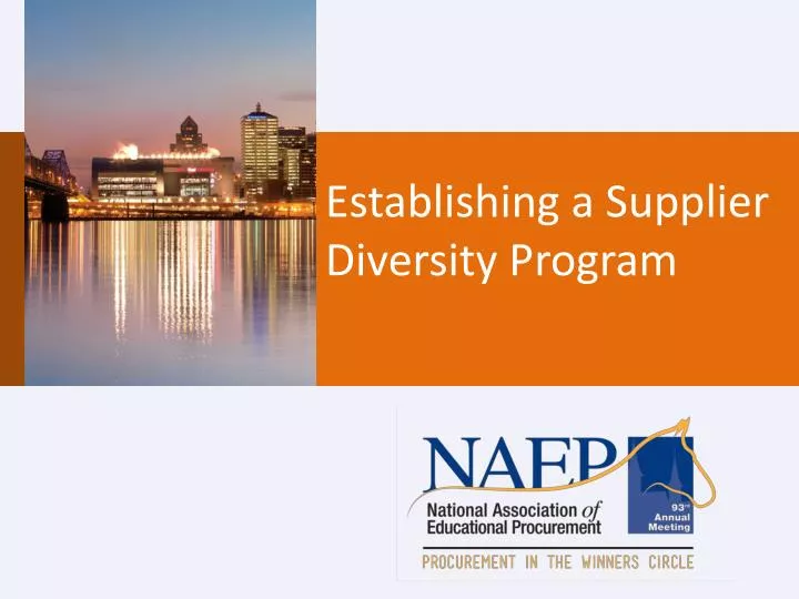 establishing a supplier diversity program
