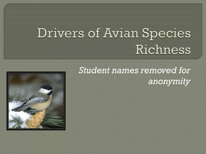 drivers of avian species richness