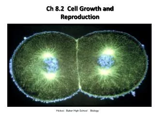 Ch 8.2 Cell Growth and Reproduction