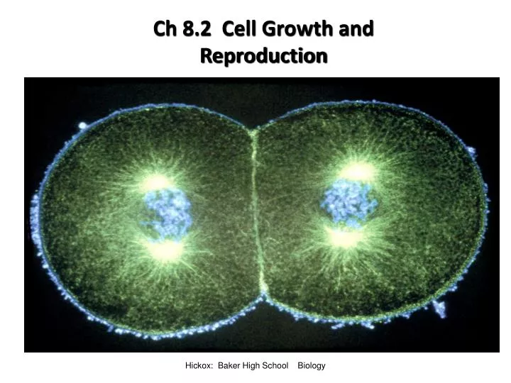 ch 8 2 cell growth and reproduction