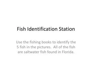 Fish Identification Station