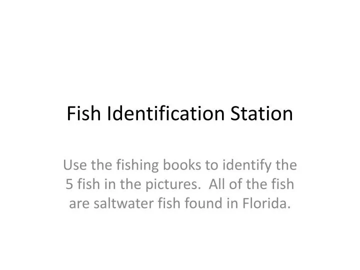 fish identification station