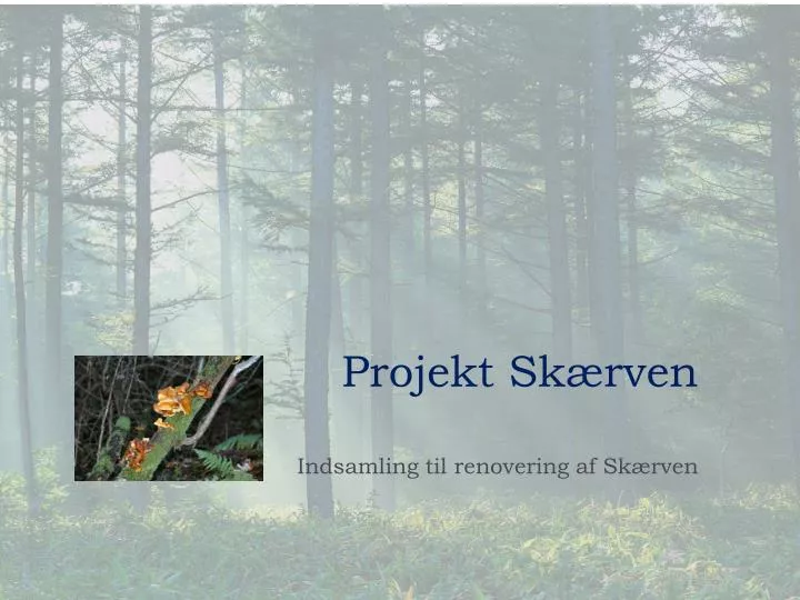 projekt sk rven