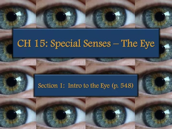 ch 15 special senses the eye