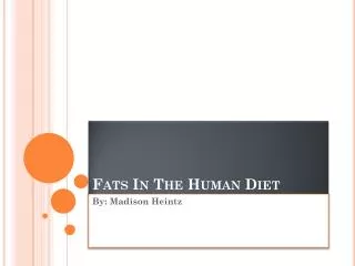 Fats In The Human Diet