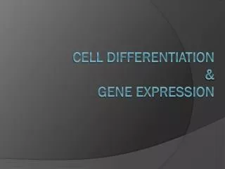 Cell Differentiation &amp; Gene Expression