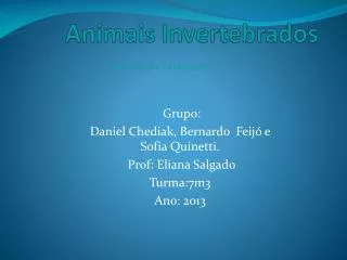 animais invertebrados