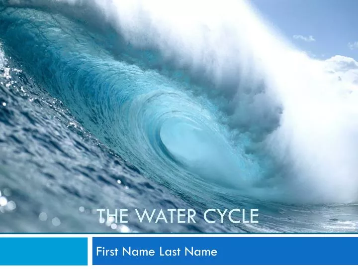 the water cycle