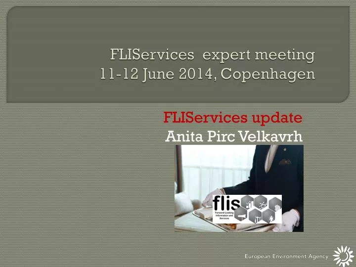 fliservices expert meeting 11 12 june 2014 copenhagen