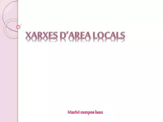 xarxes d area locals
