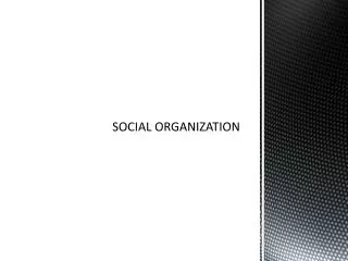 SOCIAL ORGANIZATION