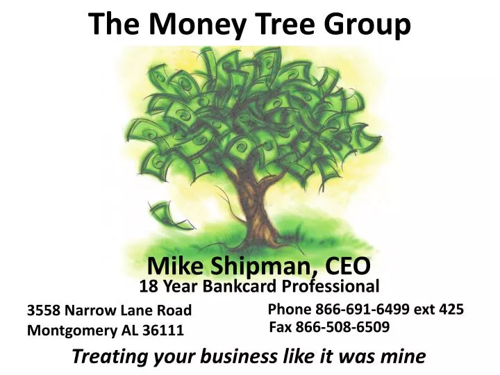 the money tree group