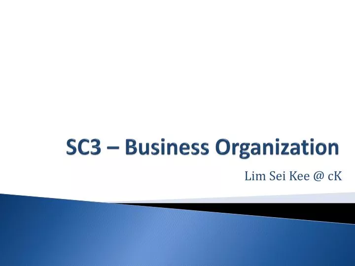 sc3 business organization