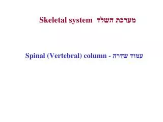 skeletal system