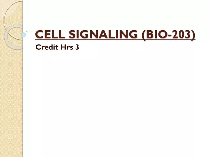 cell signaling bio 203