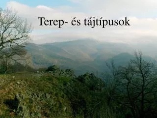 terep s t jt pusok