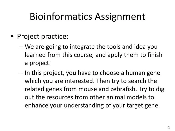 bioinformatics assignment