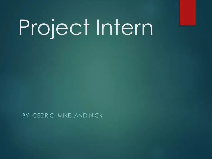 project intern