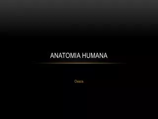 anatomia humana