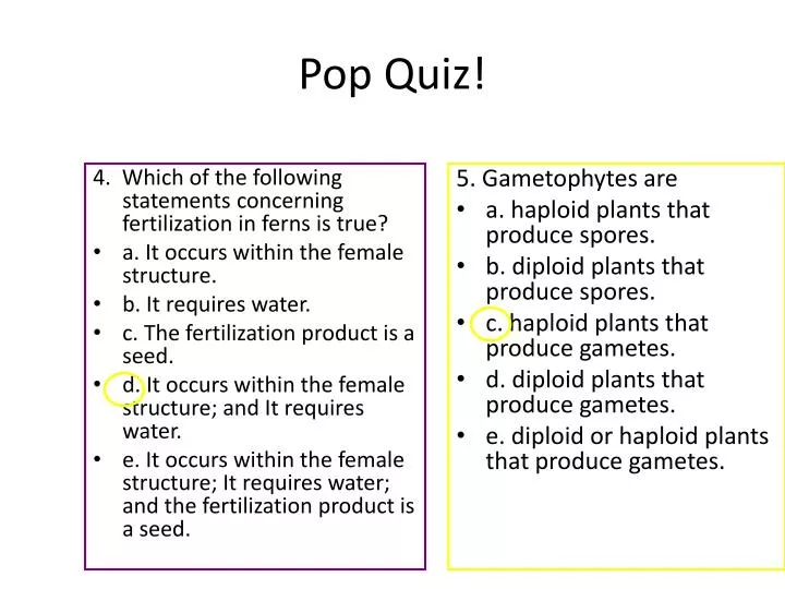 pop quiz