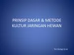 PRINSIP DASAR &amp; METODE KULTUR JARINGAN HEWAN - slide 1