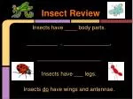Insect Review - slide 1