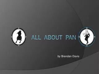 All about pan