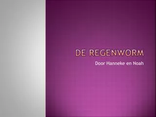 de regenworm