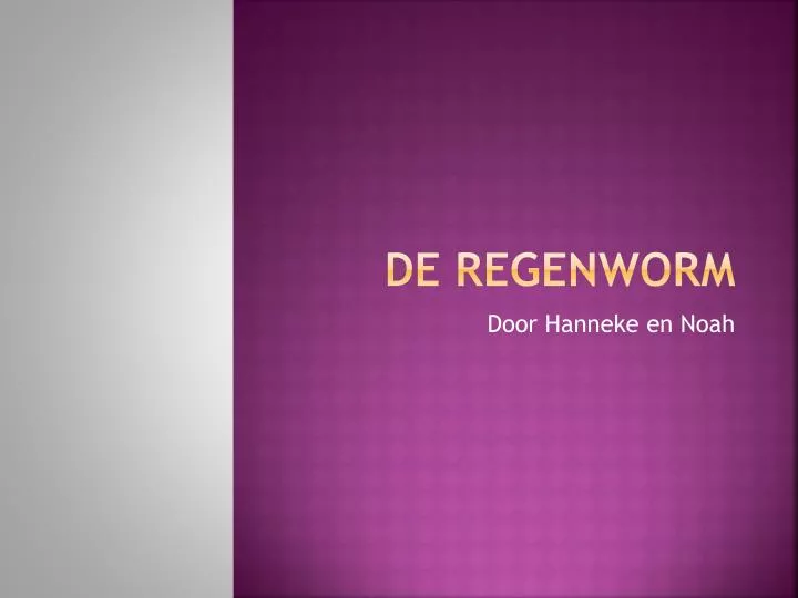 de regenworm