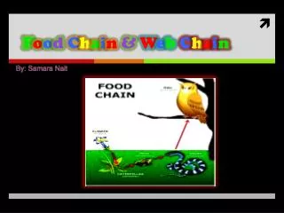 f o o d c h a i n w e b c h a i n