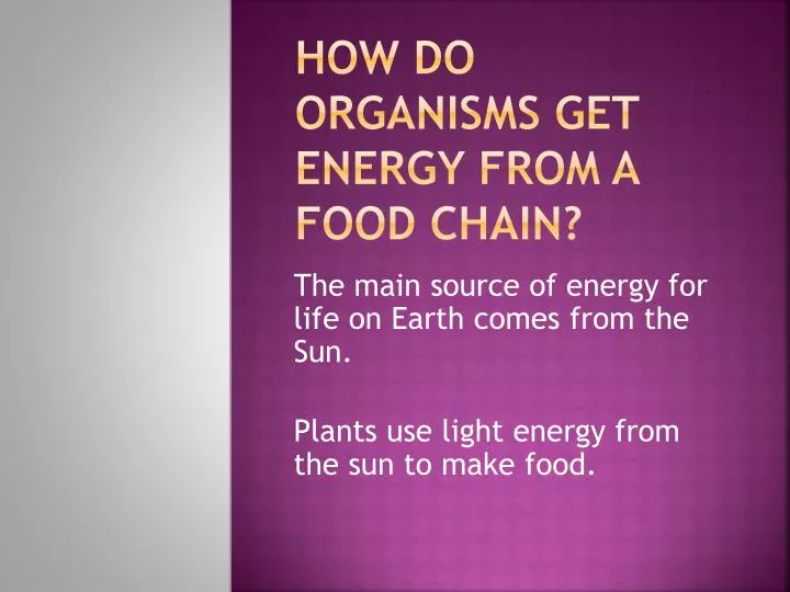 how do organisms get energy from a food chain