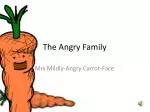The Angry Family - slide 1