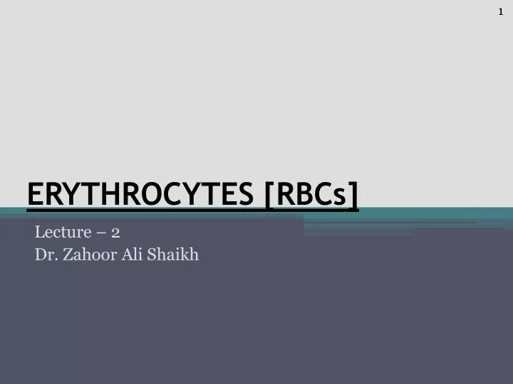 erythrocytes rbcs