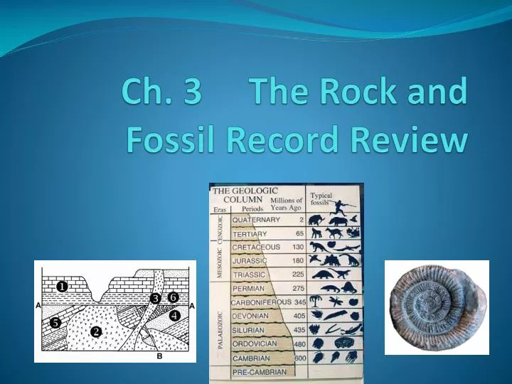 ch 3 the rock and fossil record review