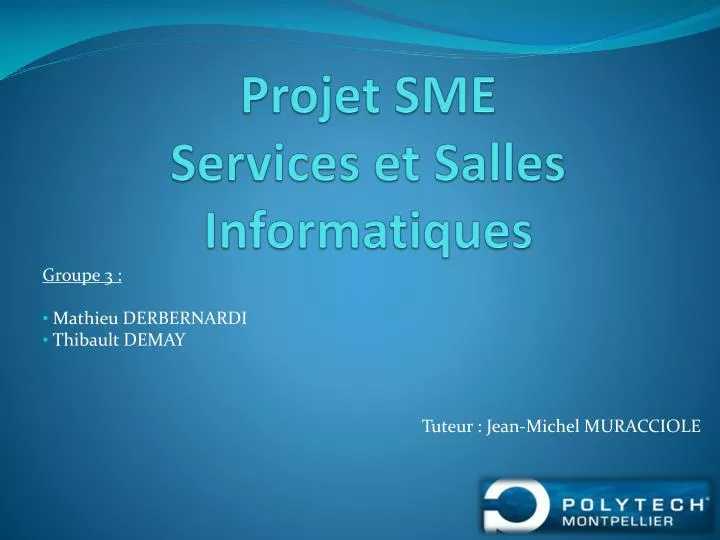 projet sme services et salles informatiques