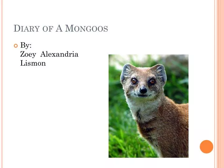 diary of a mongoos