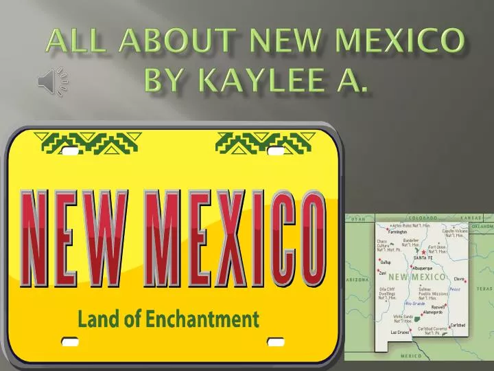 all about new mexico by kaylee a