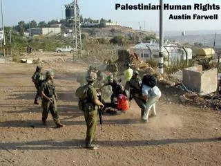 Palestinian Human Rights