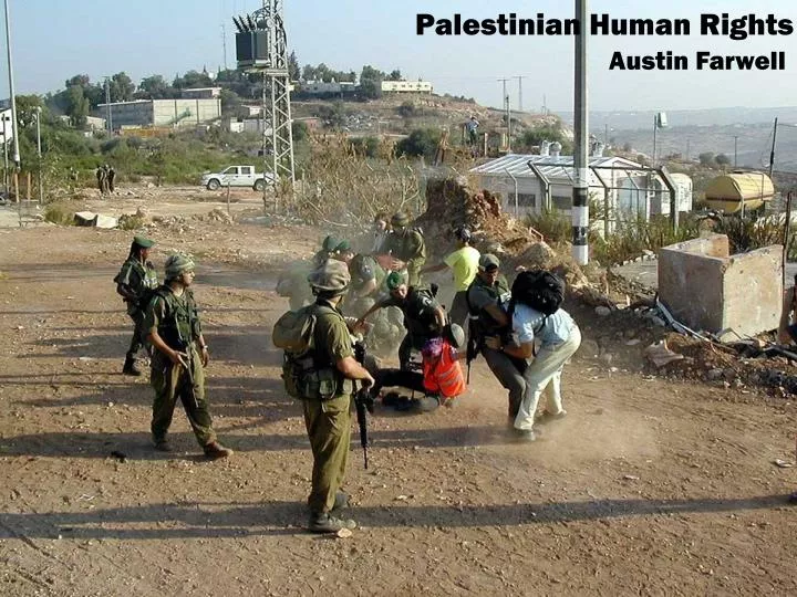 palestinian human rights
