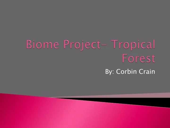 biome project tropical forest