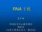 RNA 干扰 - slide 1