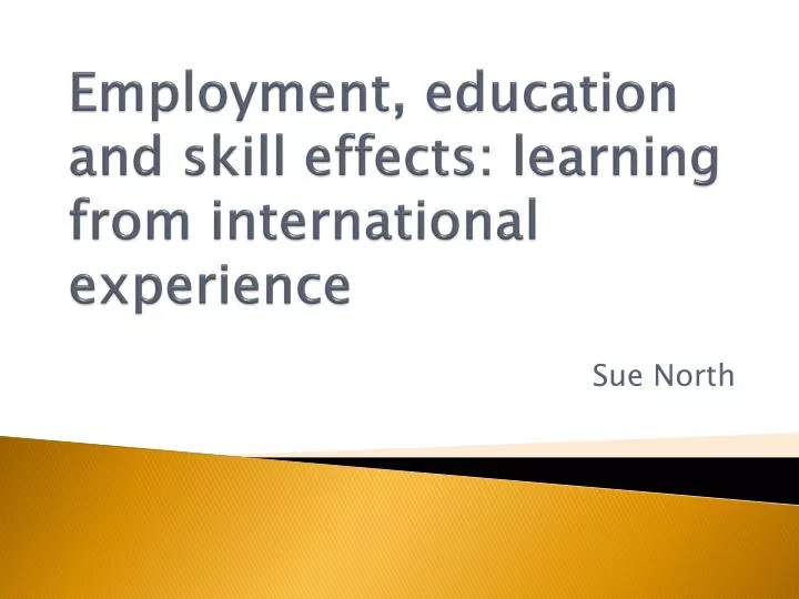 employment education and skill effects learning from international experience