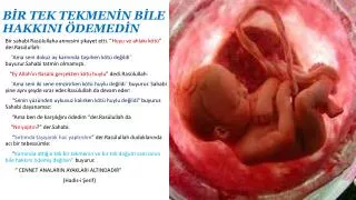 b r tek tekmen n b le hakkini demed n