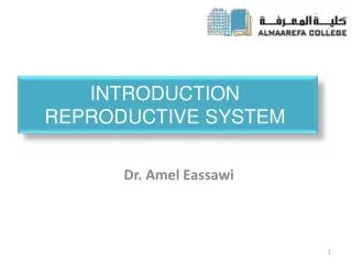 Introduction Reproductive System