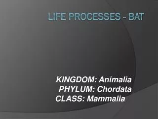 Life Processes - Bat