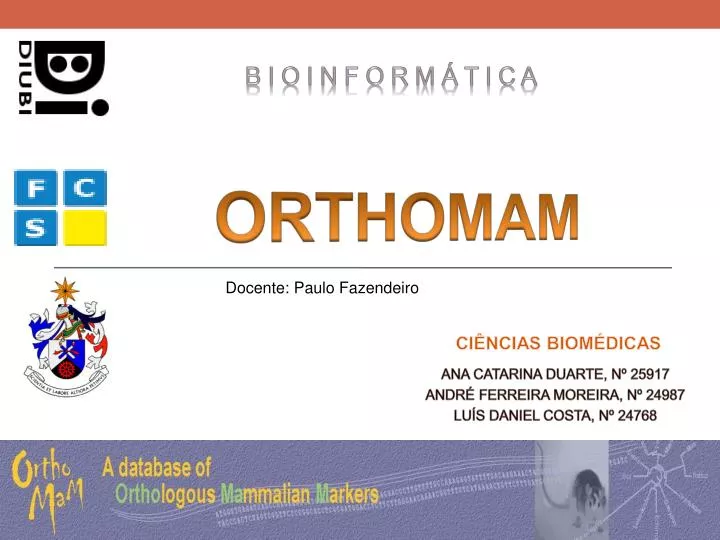 orthomam