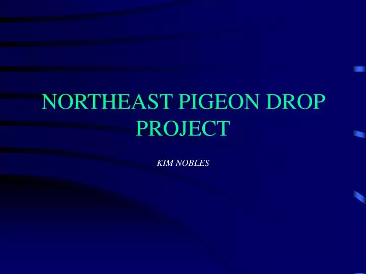 northeast pigeon drop project