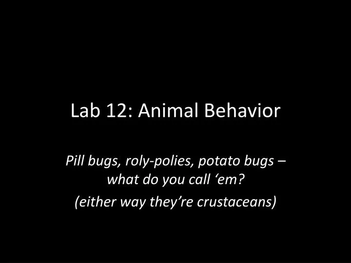 lab 12 animal behavior