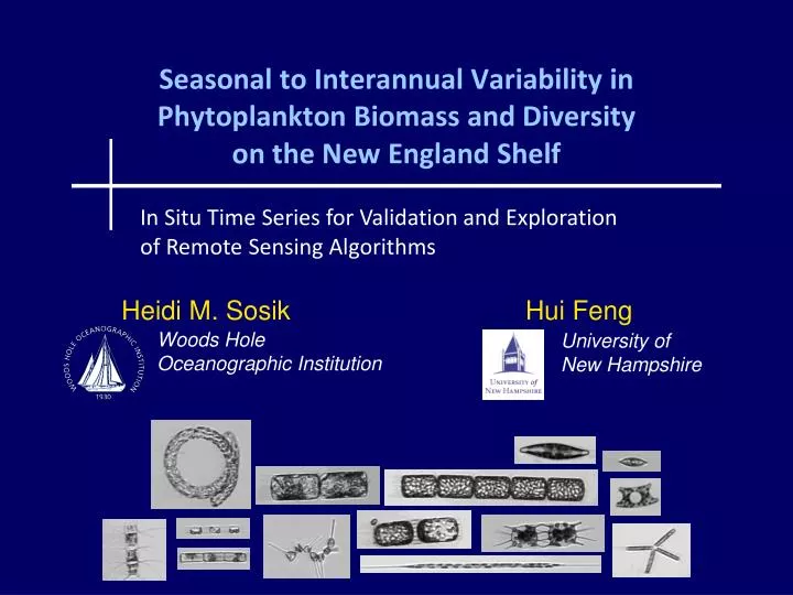 seasonal to interannual variability in phytoplankton biomass and diversity on the new england shelf